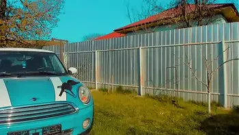 Im Out On The Backyard.....