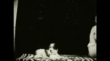 Vintage Taboo, Pussy & Pooch