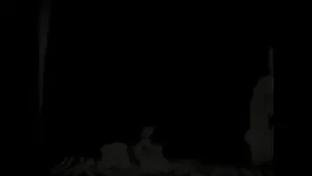 Vintage Taboo, Pussy & Pooch