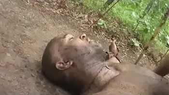 Deadliest Warrior 2.