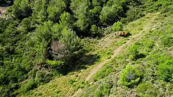 Look what my drone just caught!!!