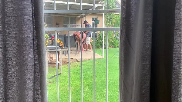 I caught my neighbours fucking outside in the backyard