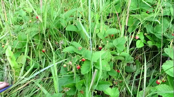 Mature housewife masturbates with a cucumber in the garden outdoors. She leaves the vegetable inside her pussy and goes home. Amateur fetish. PAWG.