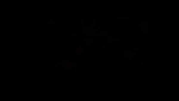 Niki3d hentai compilation