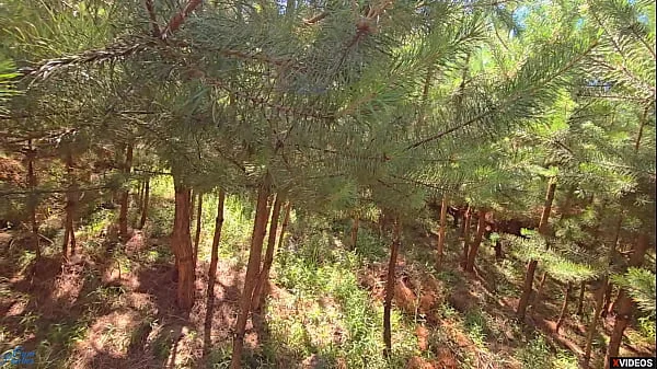 Buy me an energy drink and you can cum in me!