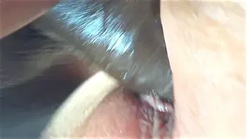 Fucking my boss | cock cum | fat ass | thick White girl  | big juicy ass | black cock fucking | Dont cum in me | Big booty bbc | pawg bbc  | please cum inside me | Close up pussy fuck | dripping wet pussy | wet pussy open wide | busty milf | phat ass nut