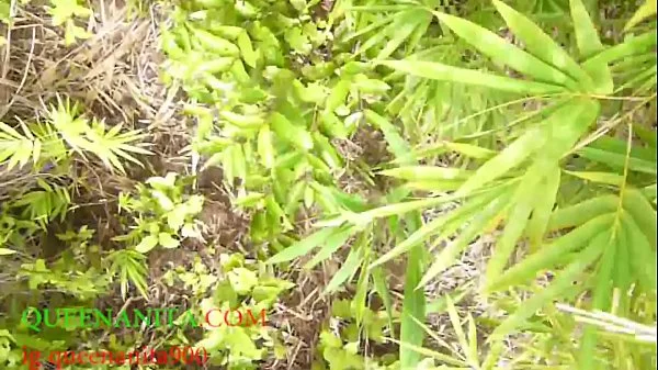 Please Don't Fuck Me In This Bush Because People Are Passing Through Here They Would Tell people