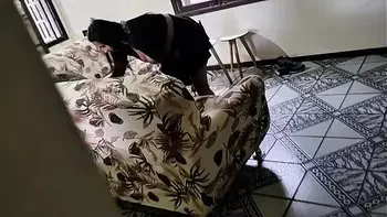 MADRASTA SEM CALCINHA ACABOU SENDO COMIDA PELO ENTEADO (POR FAVOR NAO CONTE AO SEU PAI) .