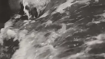 The Wonderful World Of Vintage Pornography, Women Of The World