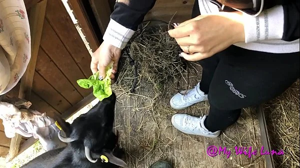 Here is my big cock come here I want to make it enjoy fuck me and fill my mouth