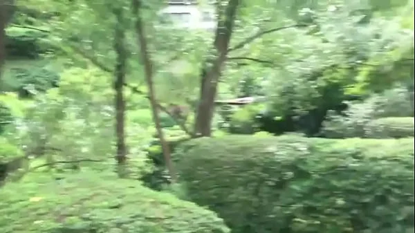 Traveling around Hungary (Budapest-Vac-Visegrad)