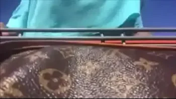 Public Titties flashing