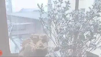 Evgenia Ta(Jane fays) - Photoshoot