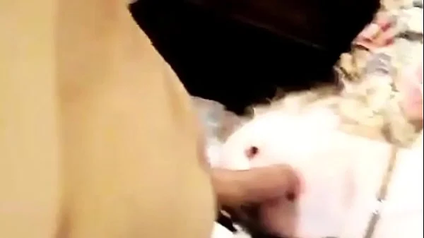 Ao50 vs Luna Lips (Best cums, creampies, moments) compilation! (TeamTy-D!3)