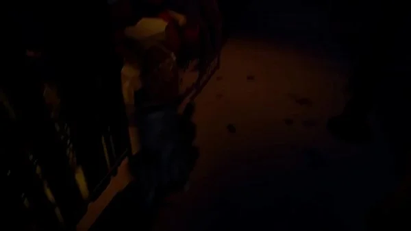 Trick and Treating ~Miya~