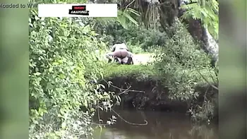 Casal da zona rural é flagrado fazendo sexo no mato