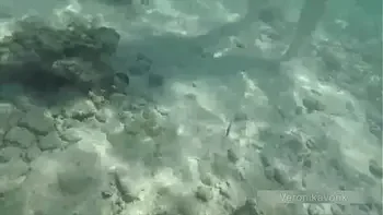 PUBLIC EXHIBITIONIST GERMAN TEEN VERONIKAVONK WITH BIG BOOBS ON THE SEA