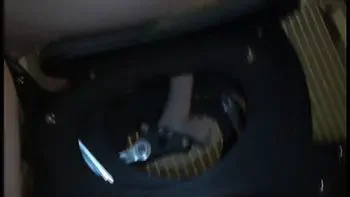 wife ride huge dildo monkey rocker