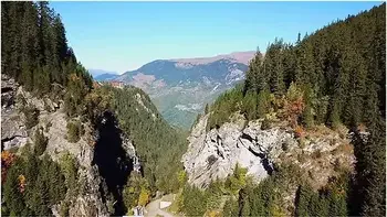 Vlog #2 // Meet My Van! With Mini Dress