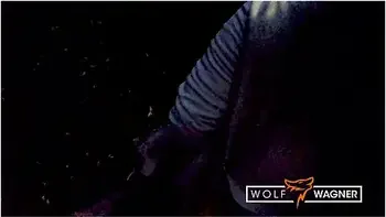 Bbw Sits On My Dick!! Public Blowjob And Table Fuck: Ashley Cumstar