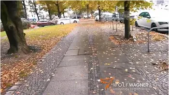 Liz Lane, Don John And Wolf Wagner - German Boy: Public Blowjob & Milf Bang Liz De Lane