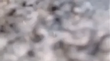 Your buy a new sweater but first squirts on her hands in a shop fitting room