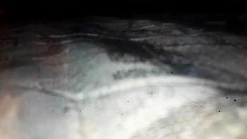 Boy Toy - My Naibour Teacher Uses Me As A