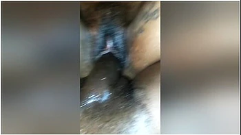 Royalty Feeds Her Kitty!!