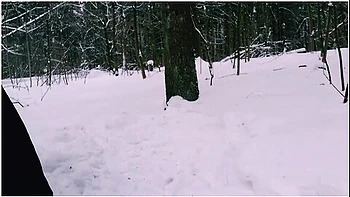 Jeny Smith, Red Fox And Naughty Lada - The Winter Forest