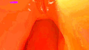 Farm Worries - Cowgirl Anal Sex - Hentai