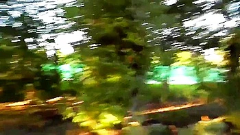 Petite Amie Amateur Fait Une Pipe Risquee Dans Un Parc