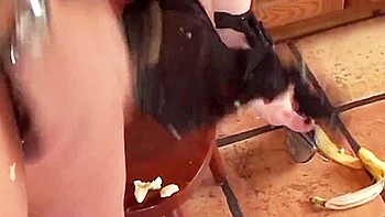 Naughty Niches In Thrilling Frenzy