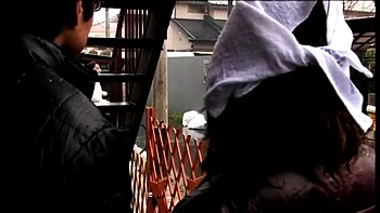 PAC220-JCORAXHOFD173651728