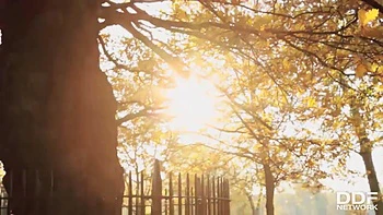 Wishful Dreaming: Horny Lesbians' Pussy Desires