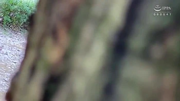 x4xDE695FCA825CBB36CB