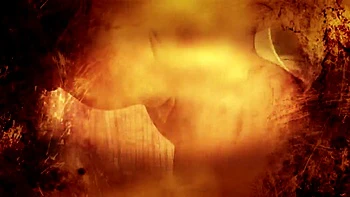 Robot pussy pounding