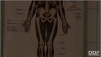 Docs Pussy Examination At The Anal Clinic Makes Babe Tiffany Doll Orgasm