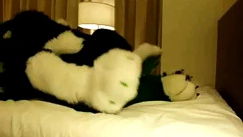 Kandi  Da Fox: Amateur, Babe  Xnxx Porn