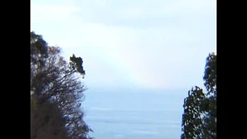 Asian MILF outdoor secret meeting with married woman - creampie and public sex amateur video