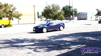 Passing Sheenas Inspection Clip#1