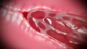 The Experiment Chapter Four - Trailer