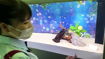 0011601_えっち 接吻 ベロキスなどが含まれている