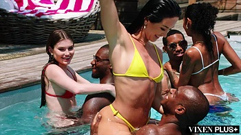 VIXENPLUS Whole Squad Compilation