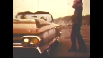 Vulgar Capricious Pig