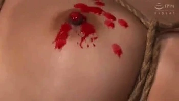 00595,Japanese lewd sex videos