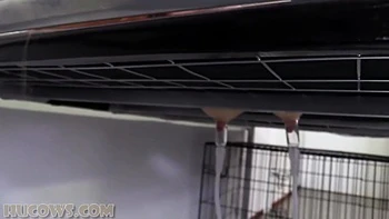 Redheaded Dina Ket Gets Her Nipples Stretched