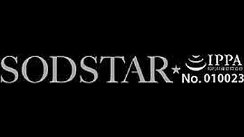 Convulsive Trance State! Arched Back Climax Development Document!! Highly Sensitive Uterus, Excessive Orgasms Special Koibuchi Momona