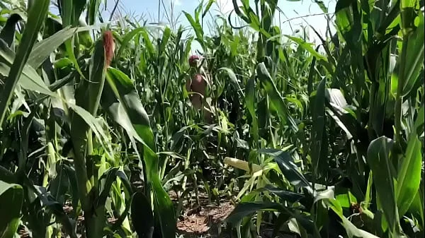 Riley Jacobs playing in corn field