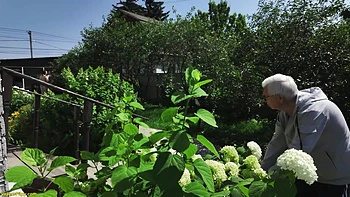 Pregnant Teen 20 y.o Ass Fucked In Front Of Old Man