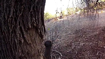 Arabian Knight Fucks A Sexy Slave Rough - Penelope Stone